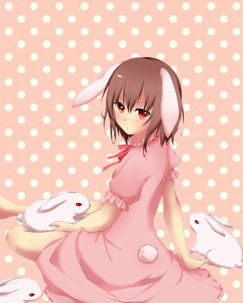 thỏ anime 24