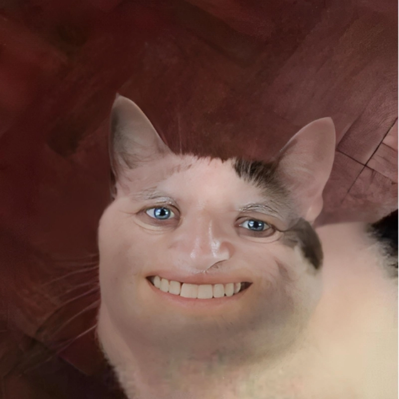 meme cười 6
