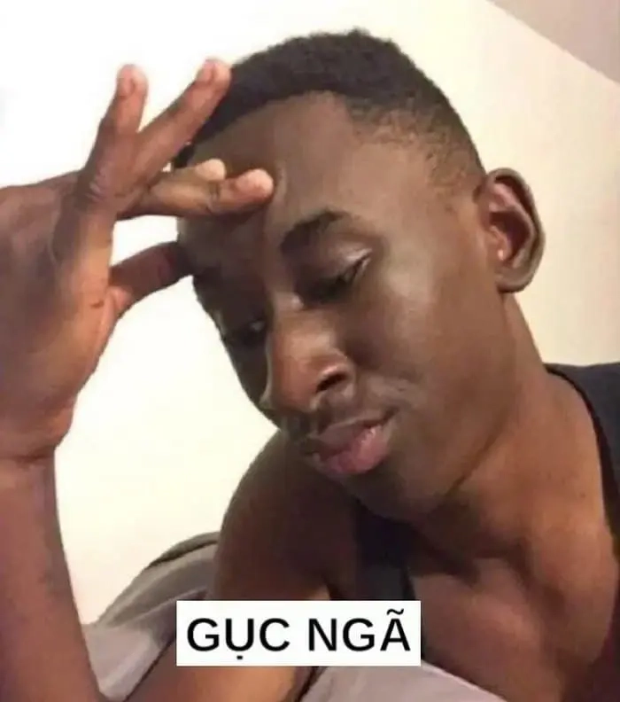 ảnh meme bất lực 14
