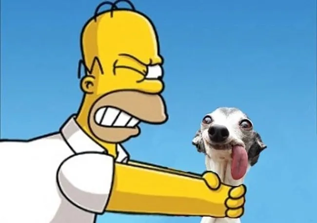 119+ Ảnh Meme Bóp Cổ Viral: Biểu Cảm Hài Hước Không Thể Nhịn Cười