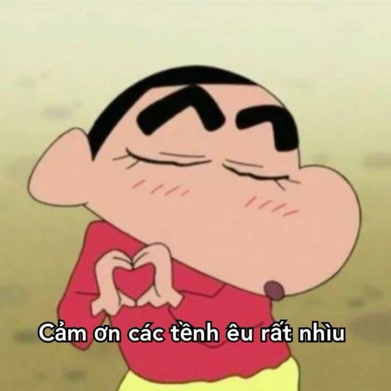 ảnh meme cảm ơn 3