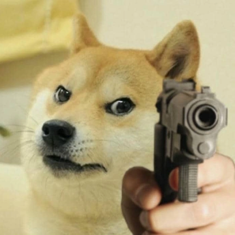 meme chó bựa 16