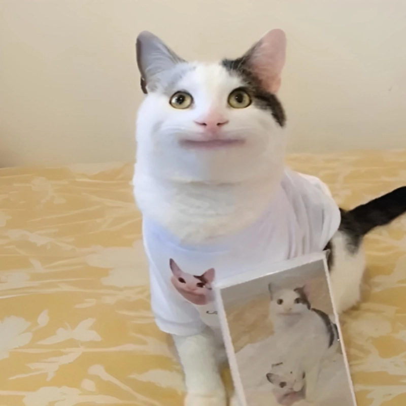 meme cười đểu 8
