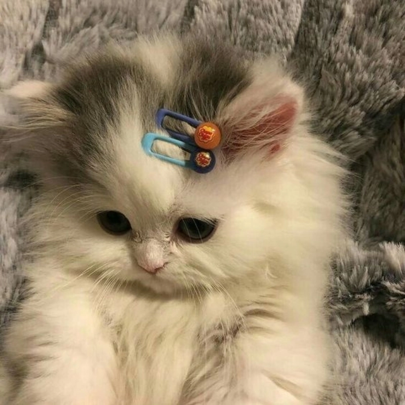 meme dễ thương 29