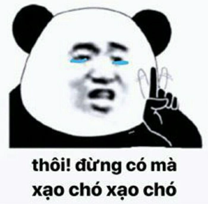 ảnh meme gấu 11