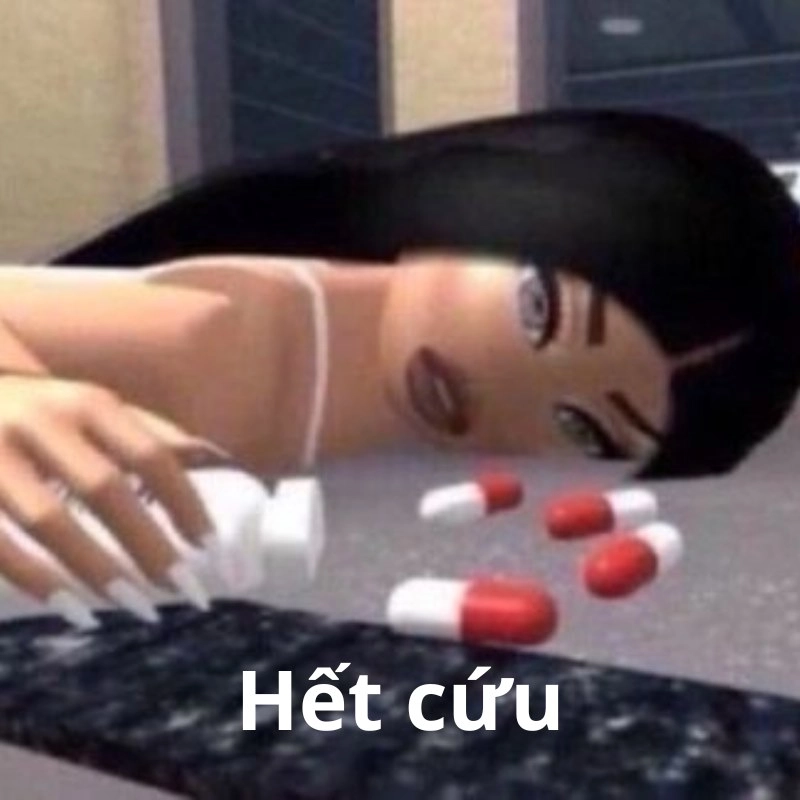 Ảnh meme hết cứu 13