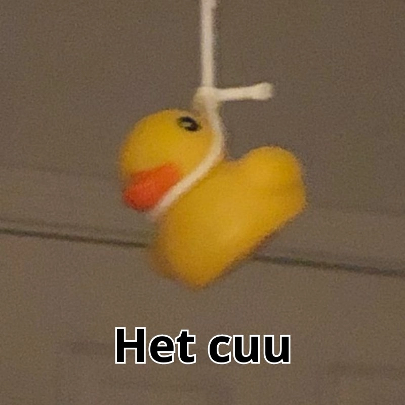 Ảnh meme hết cứu 14
