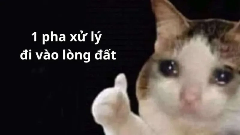 101 biểu cảm meme 89