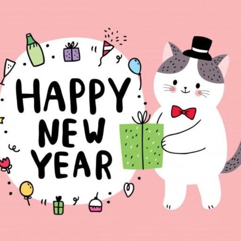 meme Tết vui nhộn 19