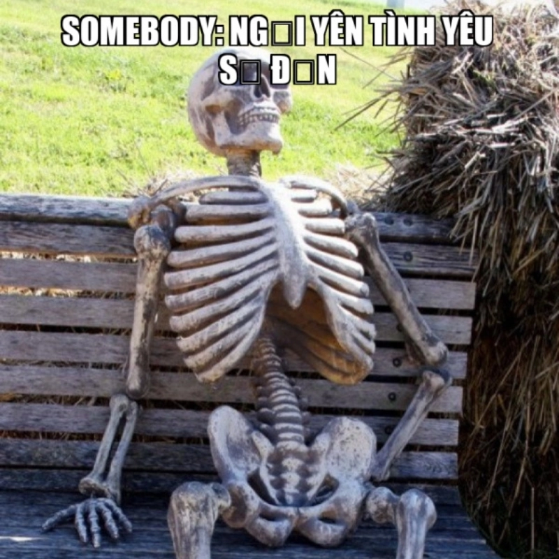meme tình yêu 26