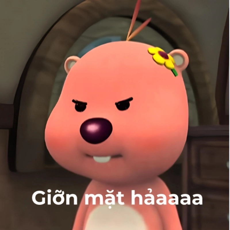 ảnh meme tức giận 24