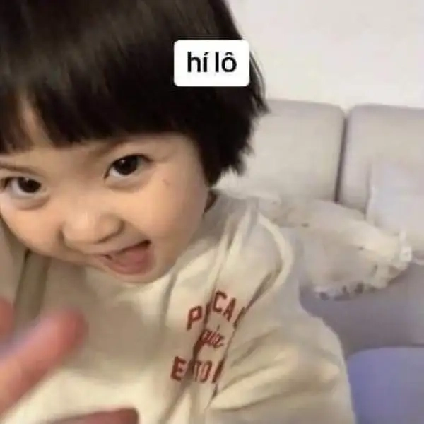 Ảnh meme xin chào 11