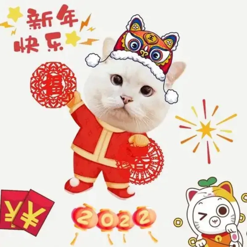 meme mèo Tết 18