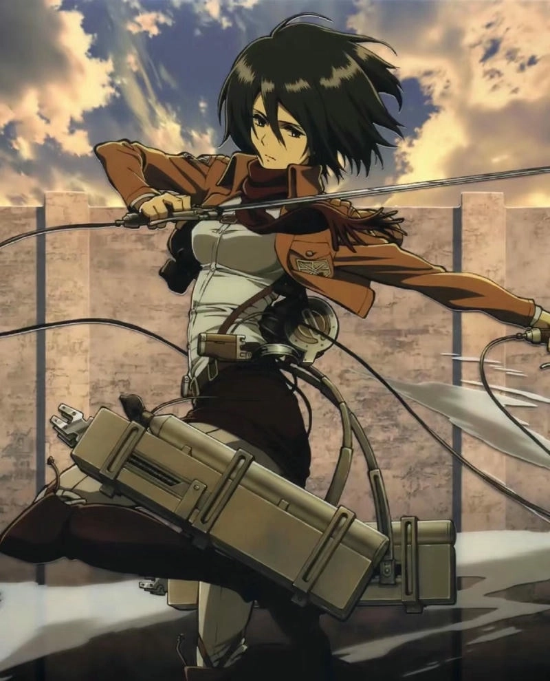 Avatar Mikasa 10