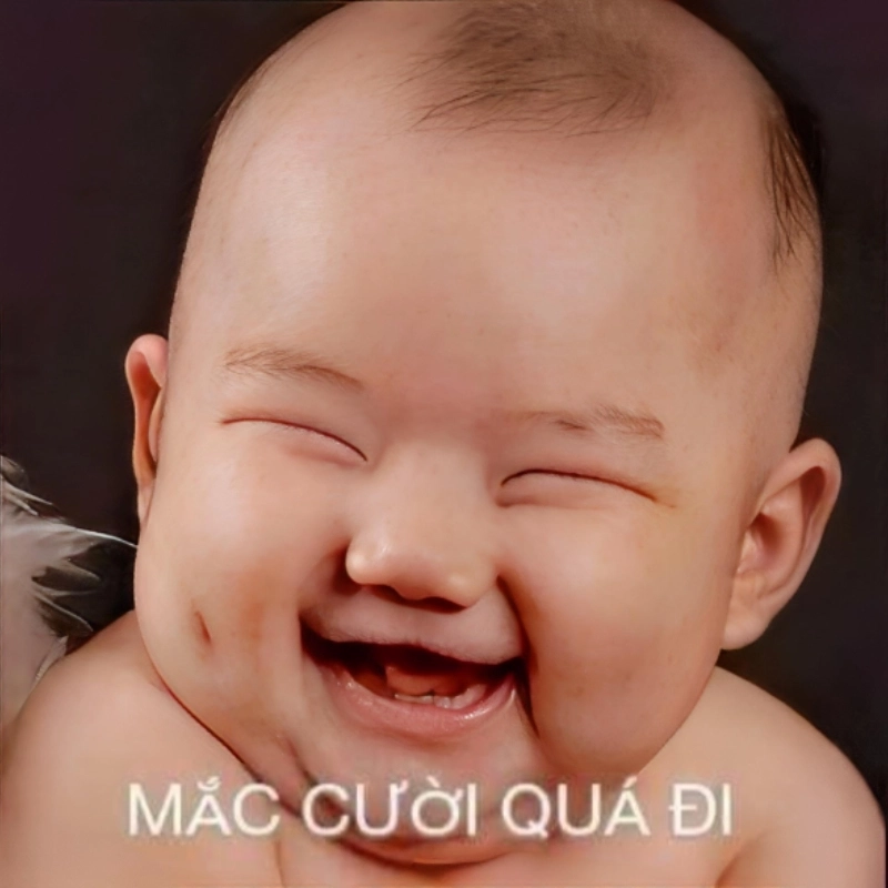 meme cười 42
