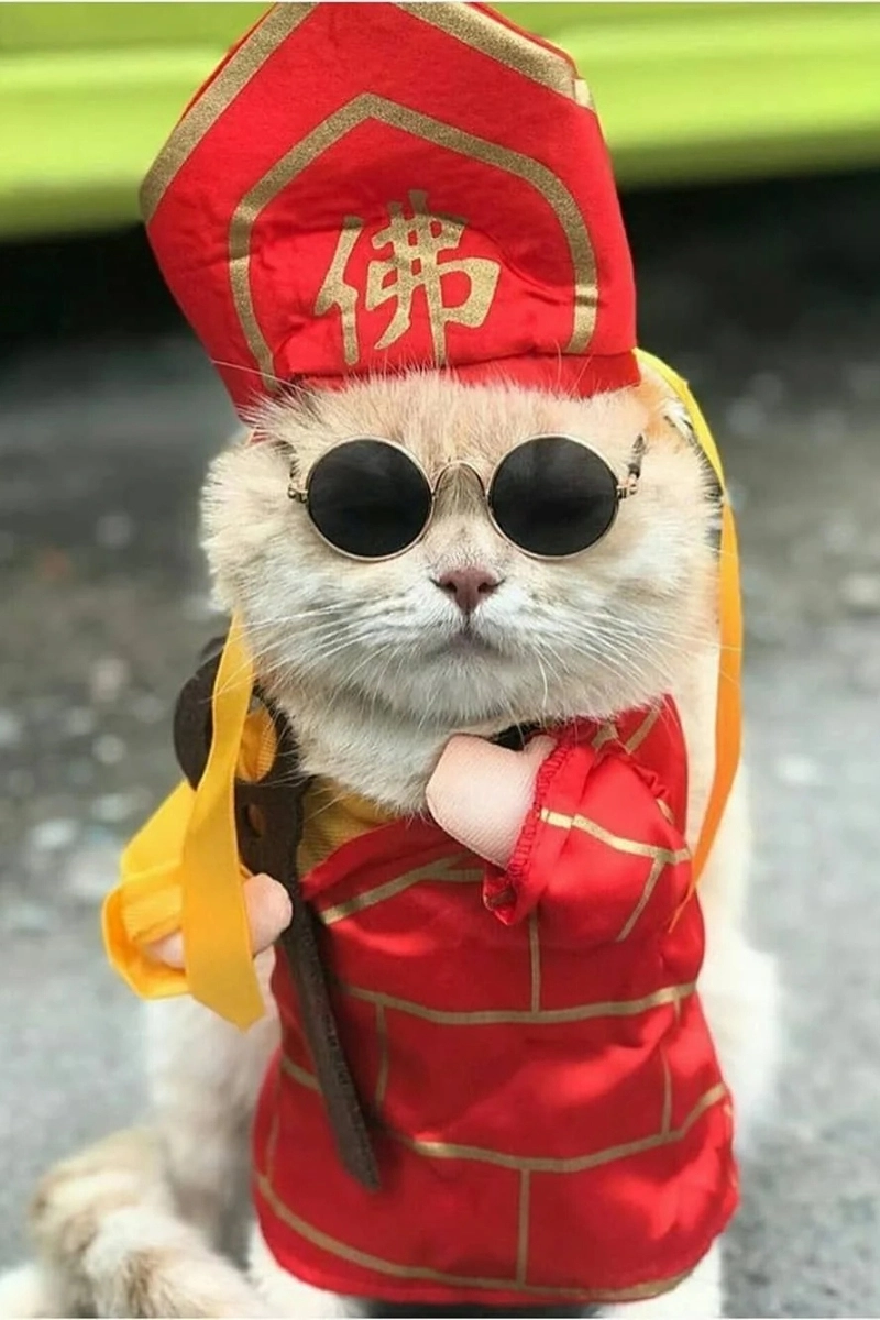 hình nền meme 5