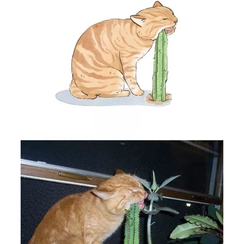 meme vẽ 6