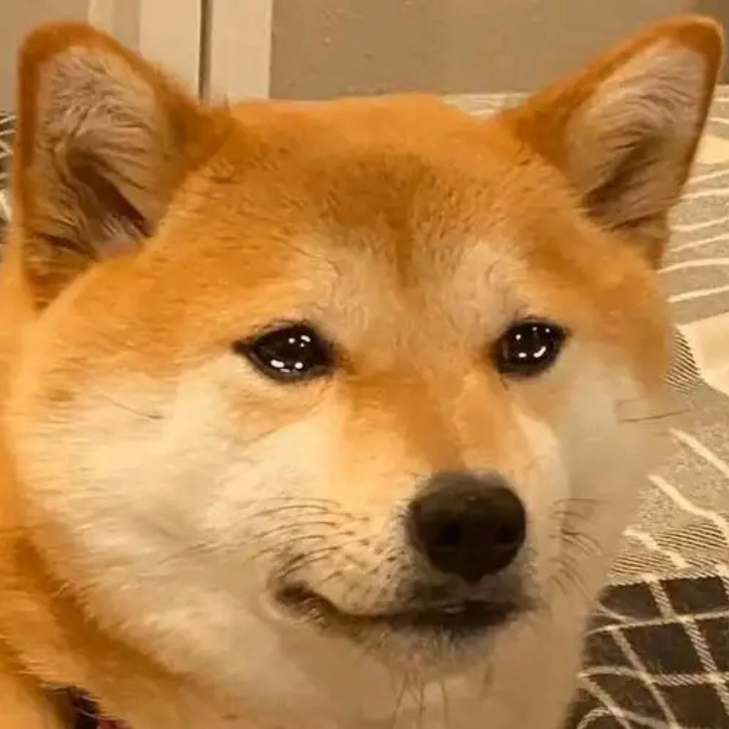 101 biểu cảm meme 2