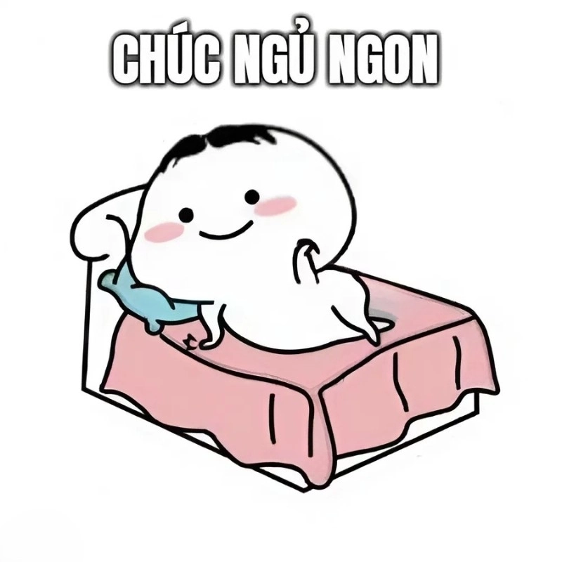 meme chúc ngủ ngon 4