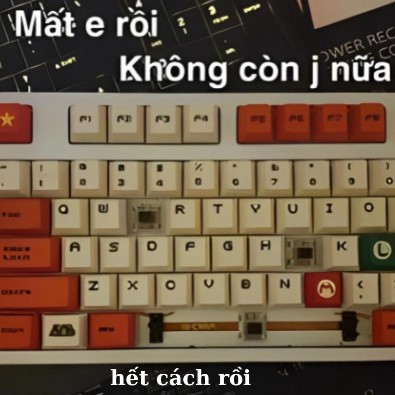 Meme hết tiền 14