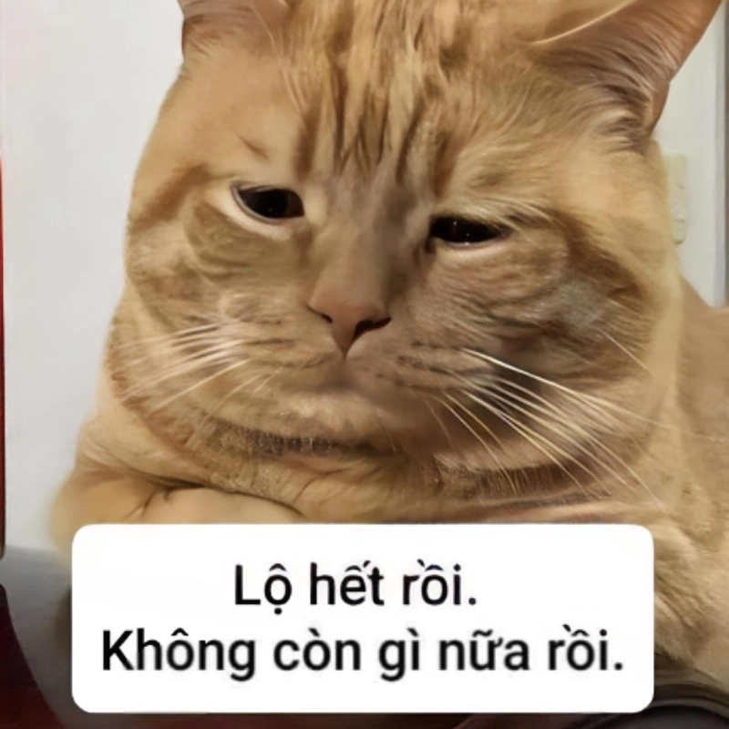 Meme hết tiền 23