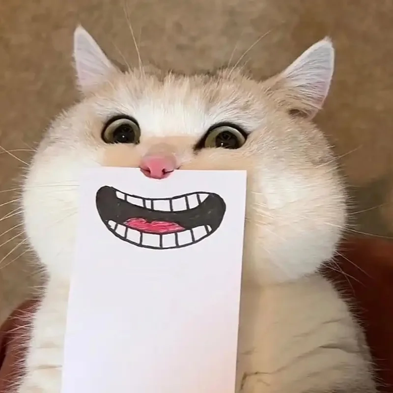 meme bựa chất 24