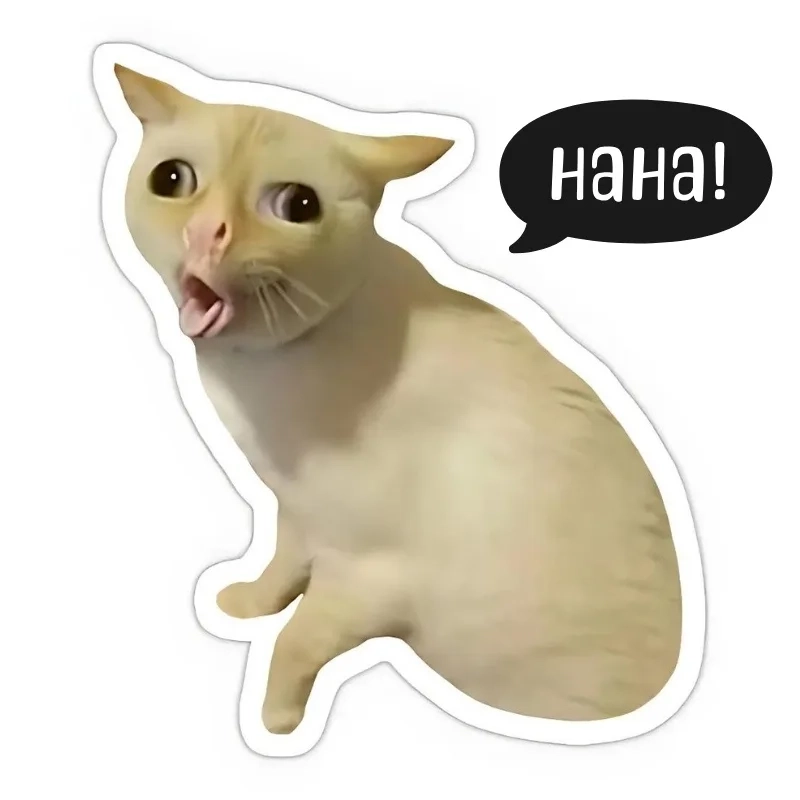 meme mèo cười 46