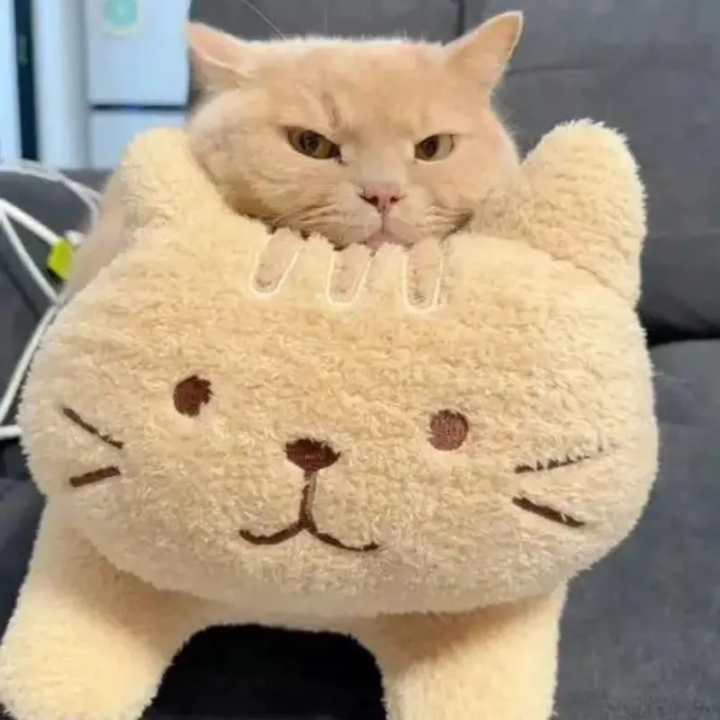 119+ Ảnh Chế Meme Mèo Bựa Khiến Bạn Cười Sảng Khoái Cả Ngày