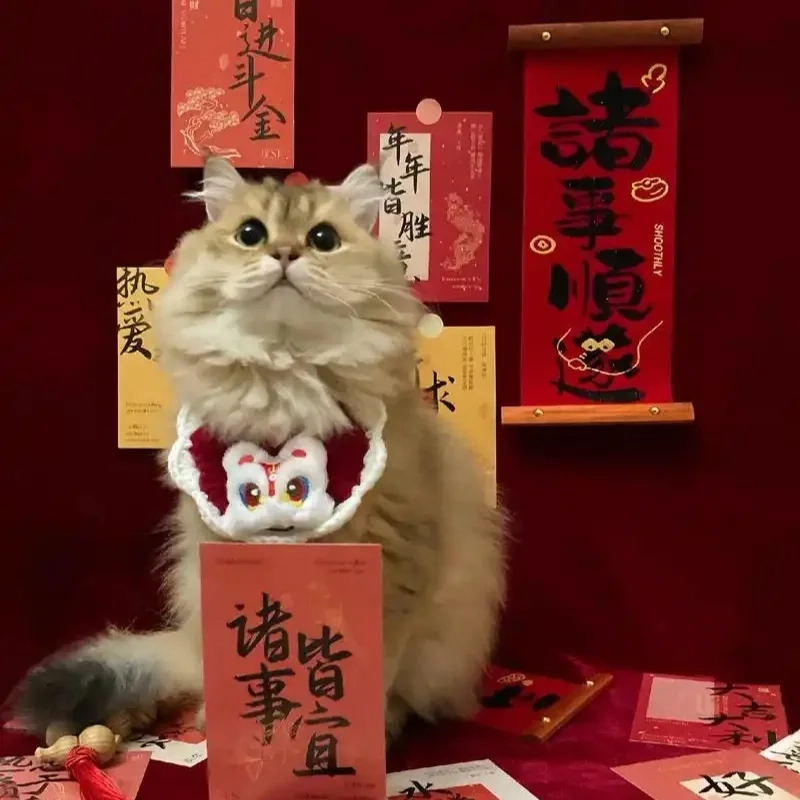 119+ Meme Mèo Tết Siêu Lầy Lội: Cười Thả Ga Đón Xuân Sang