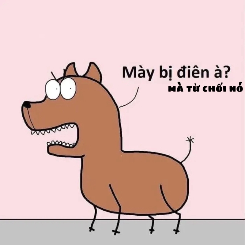 meme từ chối 13