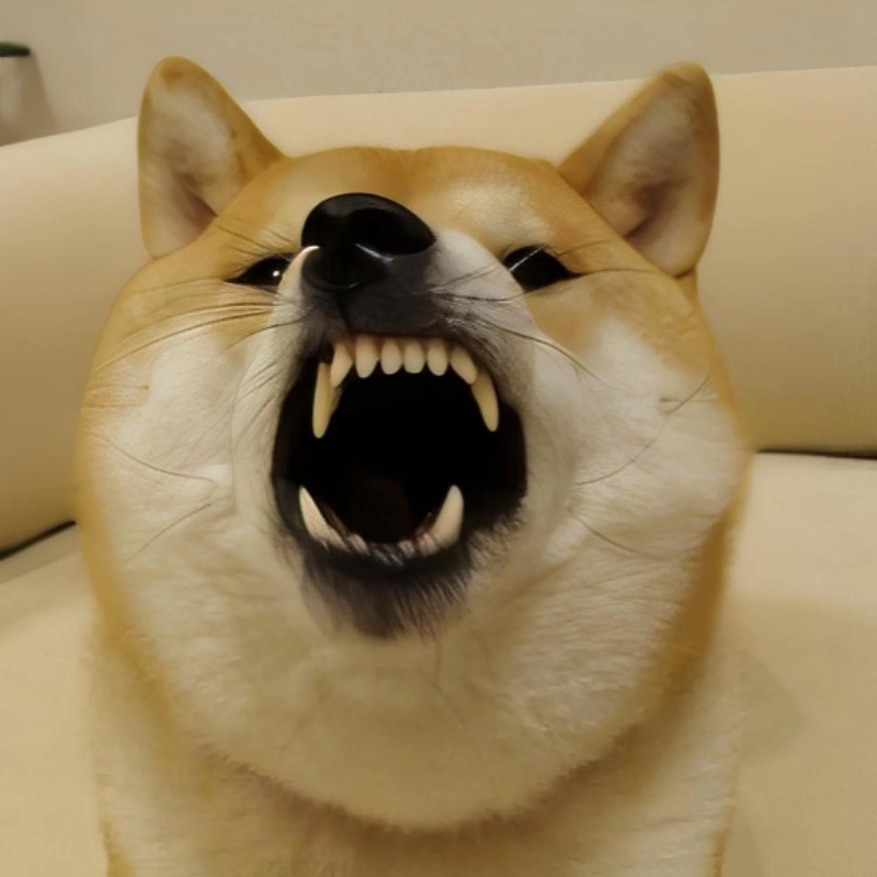 ảnh meme tức giận 11