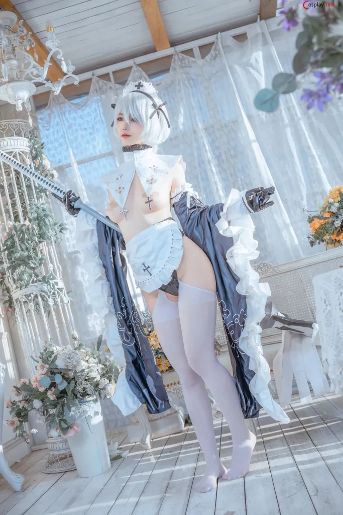 119+ Hình Ảnh Tuyệt Đẹp: Khám Phá Thế Giới Taoliangazhai Cosplay Maid 2B